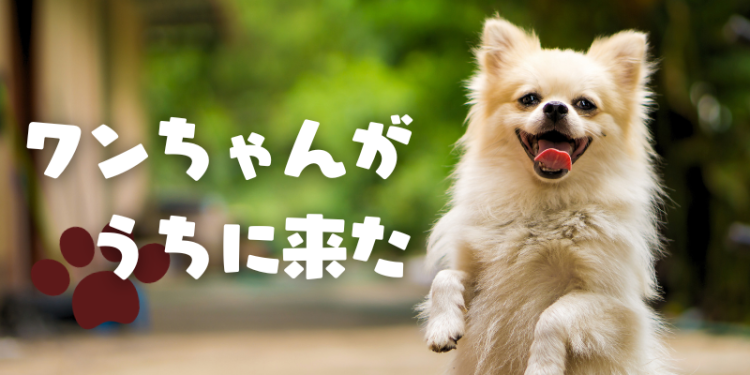 カワイイがいっぱい！ワンダーランド